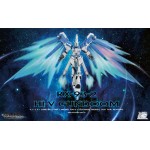 HG 1/144 RX-93-2 Hi-V Gundoom / Gundam (Limited Edition)